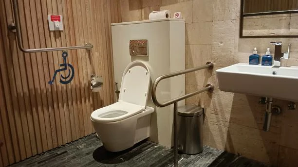 Modern Toilet Seats