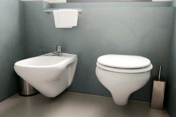 Wall-Mounted Toilets2